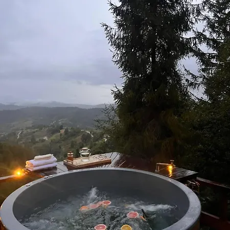 Nyaraló висота 890 *